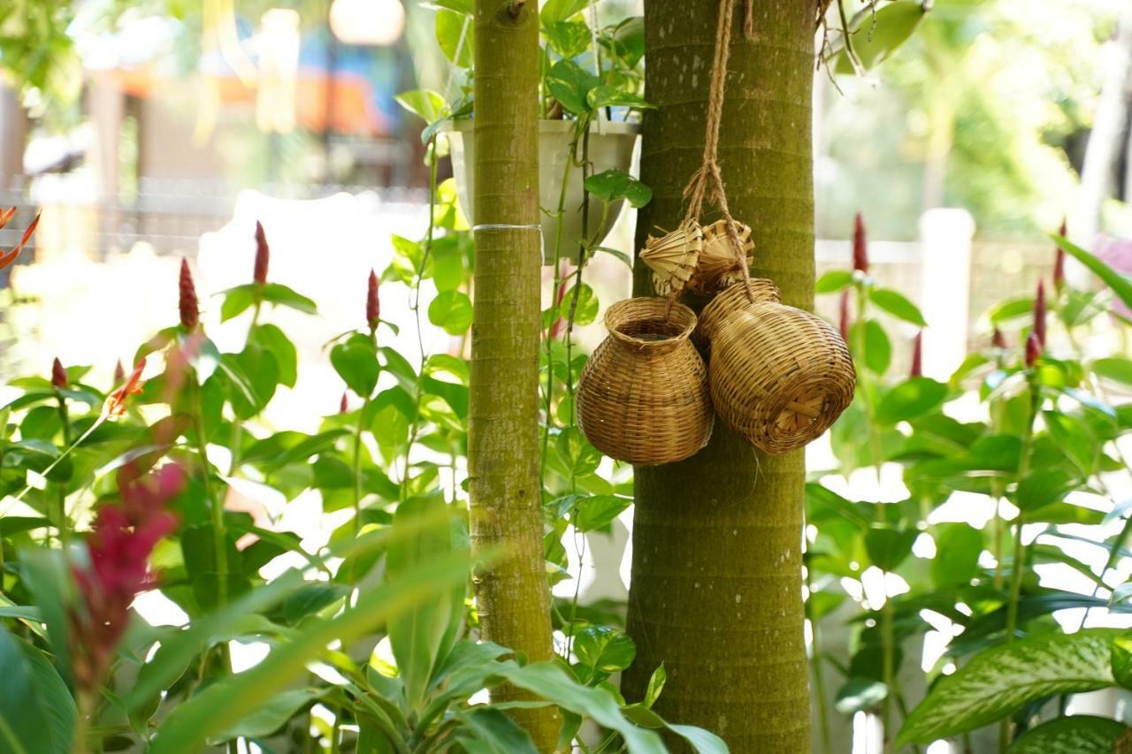 Longan Homestay Hoi An Eksteriør bilde